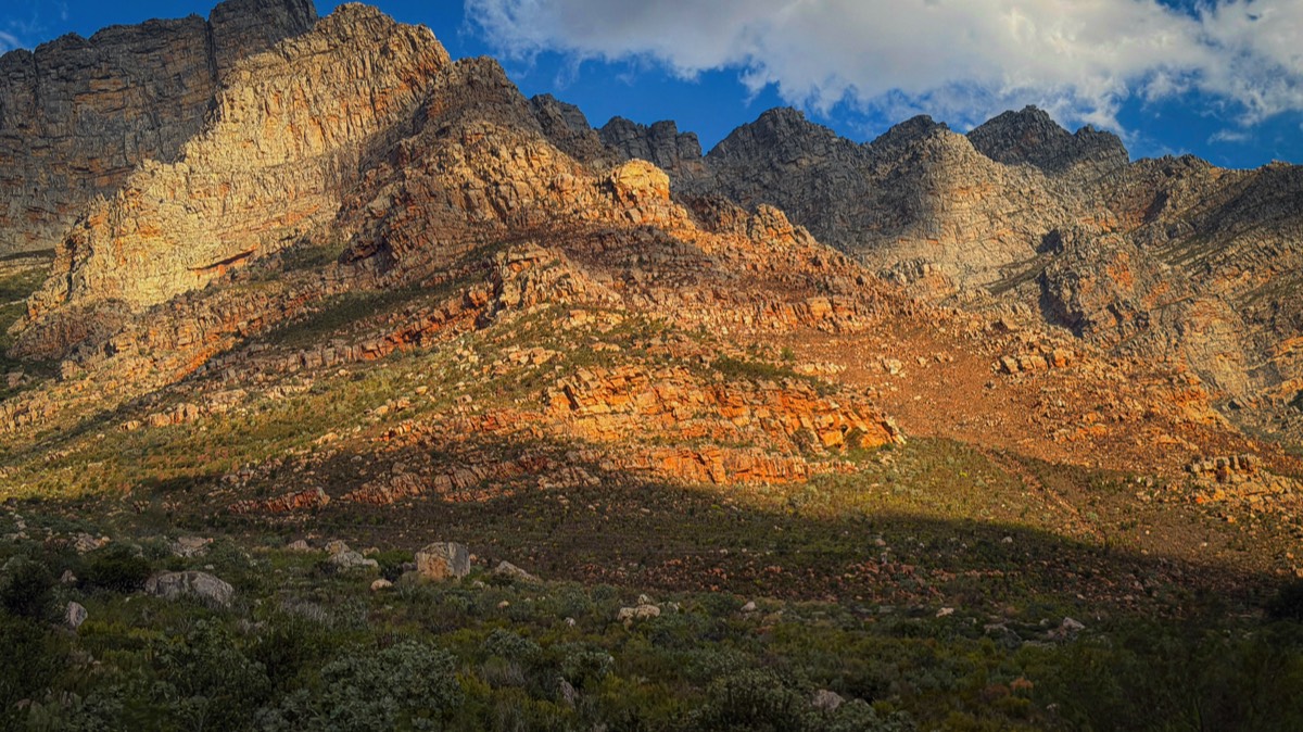 Stacks Image 54